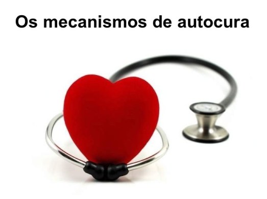 os mecanismos da autocura