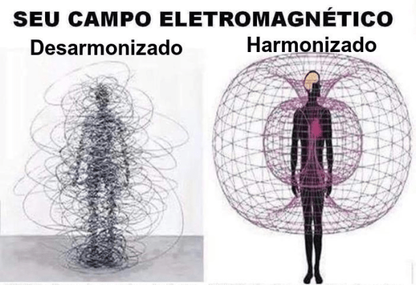 campo harmonizado reiki