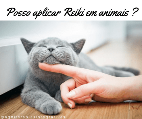 Posso aplicar Reiki em animais _