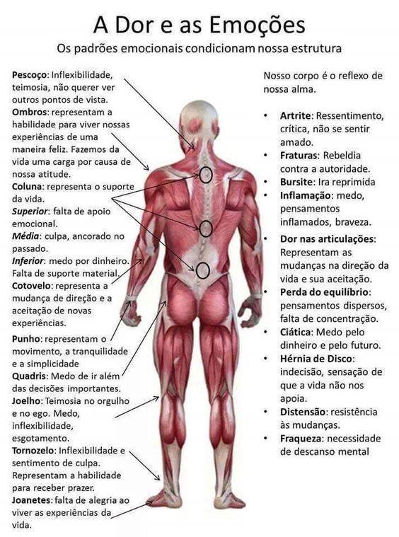 69443320_134224747845942_1851743482876526592_n