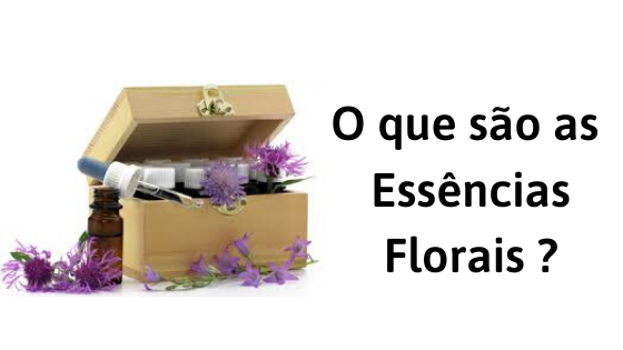O que são as Essências Florais _